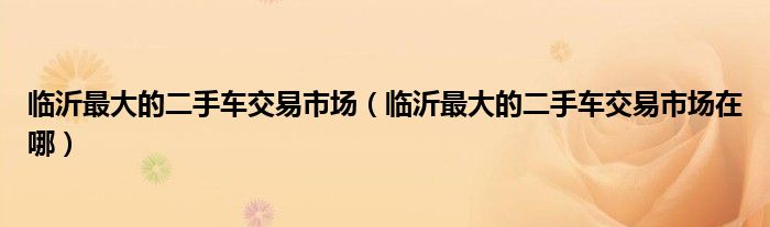 临沂最大的二手车交易市场(临沂最大的二手车交易市场在哪)