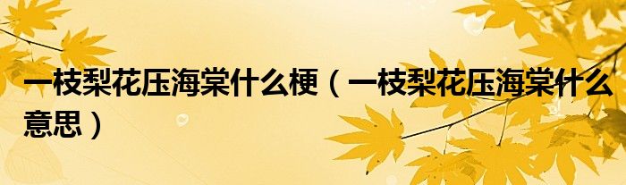 一枝梨花压海棠什么梗(一枝梨花压海棠什么意思)