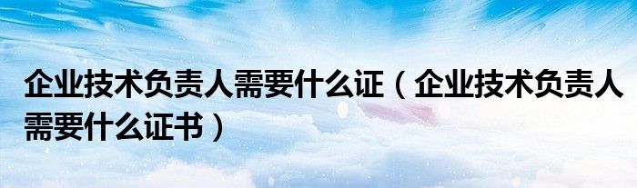 企业技术负责人需要什么证(企业技术负责人需要什么证书)
