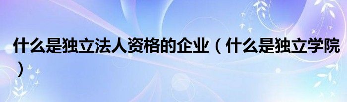 什么是独立法人资格的企业(什么是独立学院)