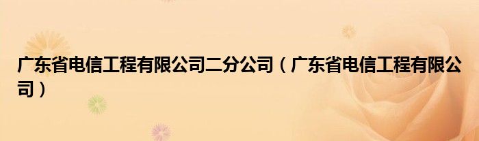 广东省电信工程有限公司二分公司(广东省电信工程有限公司)