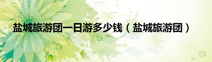 盐城旅游团一日游多少钱(盐城旅游团)