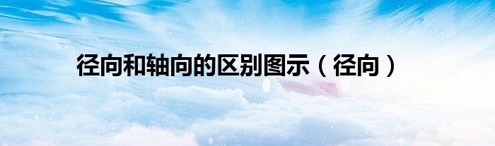 径向和轴向的区别图示(径向)