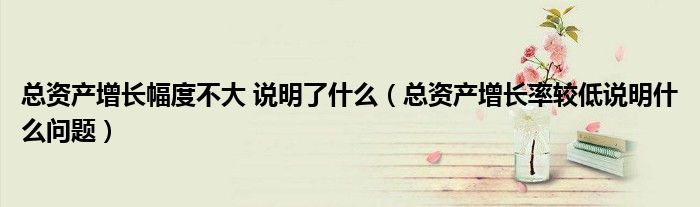 总资产增长幅度不大 说明了什么(总资产增长率较低说明什么问题)