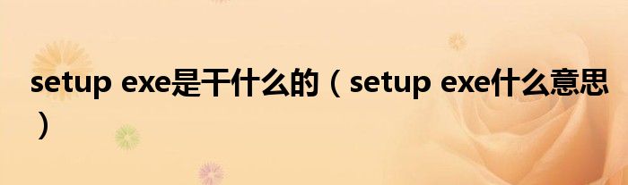 setup exe是干什么的(setup exe什么意思)
