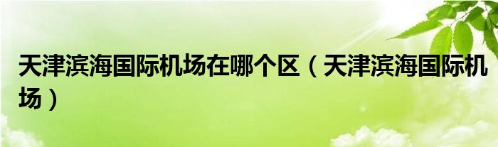 天津滨海国际机场在哪个区(天津滨海国际机场)