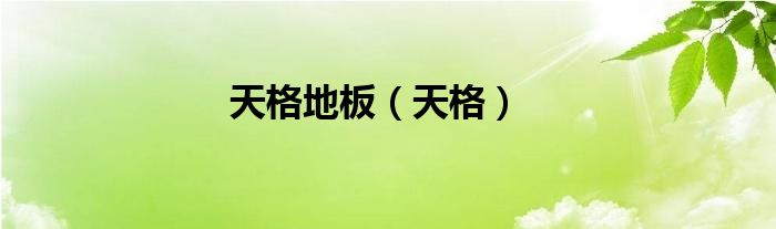 天格地板（天格）