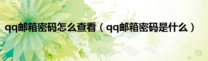 qq邮箱密码怎么查看(qq邮箱密码是什么)