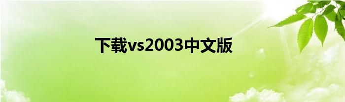 下载vs2003中文版