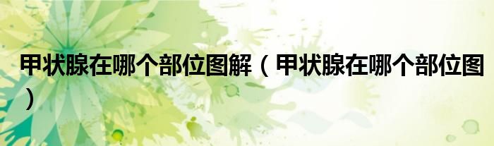 甲状腺在哪个部位图解(甲状腺在哪个部位图)
