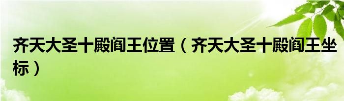 齐天大圣十殿阎王位置(齐天大圣十殿阎王坐标)