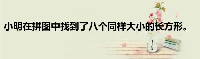 小明在拼图中找到了八个同样大小的长方形。