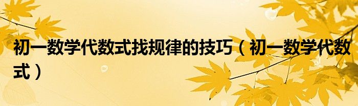 初一数学代数式找规律的技巧(初一数学代数式)