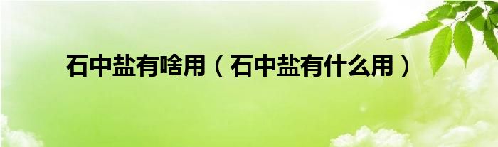 石中盐有啥用(石中盐有什么用)