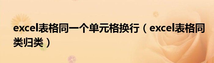 excel表格同一个单元格换行(excel表格同类归类)
