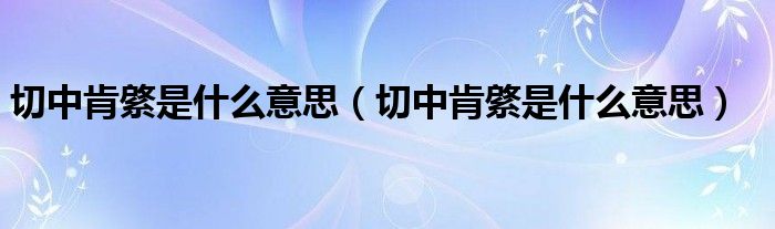 切中肯綮是什么意思(切中肯綮是什么意思)