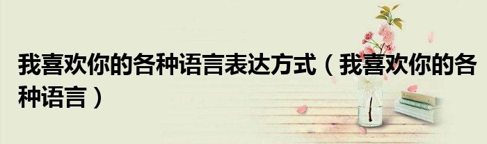 我喜欢你的各种语言表达方式(我喜欢你的各种语言)