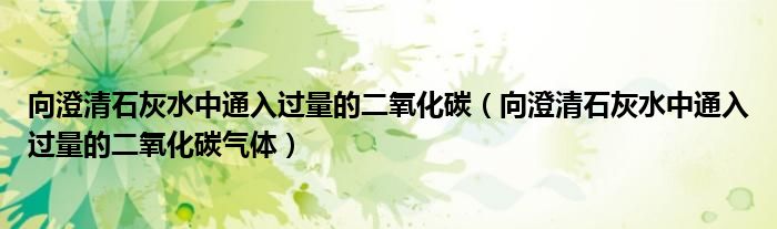 向澄清石灰水中通入过量的二氧化碳(向澄清石灰水中通入过量的二氧化碳气体)