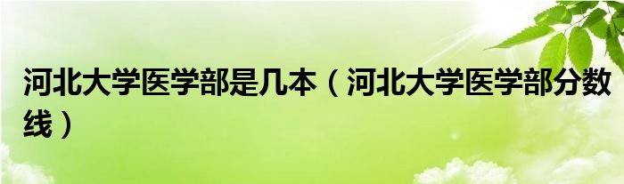 河北大学医学部是几本(河北大学医学部分数线)