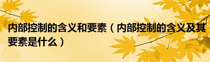 内部控制的含义和要素(内部控制的含义及其要素是什么)