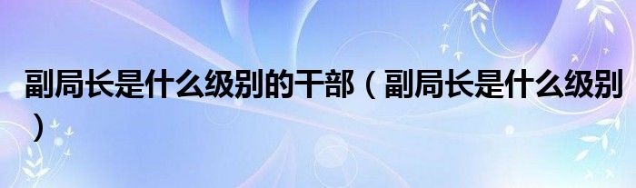 副局长是什么级别的干部(副局长是什么级别)