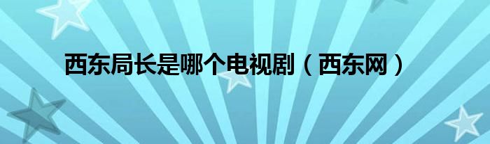 西东局长是哪个电视剧(西东网)