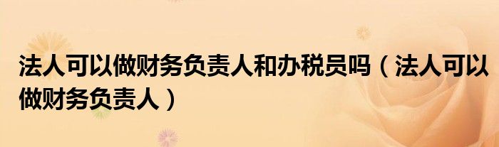 法人可以做财务负责人和办税员吗(法人可以做财务负责人)