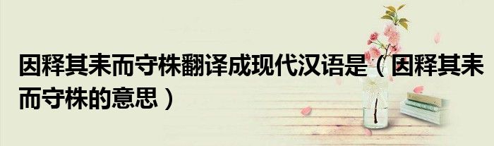因释其耒而守株翻译成现代汉语是(因释其耒而守株的意思)