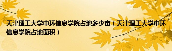 天津理工大学中环信息学院占地多少亩(天津理工大学中环信息学院占地面积)