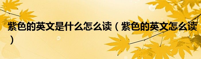 紫色的英文是什么怎么读(紫色的英文怎么读)