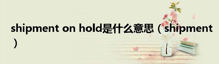 shipment on hold是什么意思(shipment)