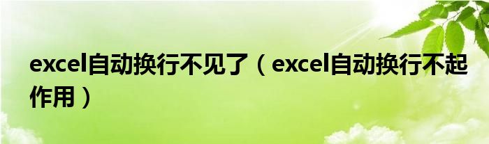 excel自动换行不见了(excel自动换行不起作用)