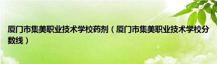 厦门市集美职业技术学校药剂(厦门市集美职业技术学校分数线)
