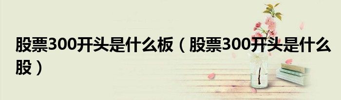 股票300开头是什么板(股票300开头是什么股)