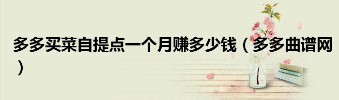 多多买菜自提点一个月赚多少钱(多多曲谱网)