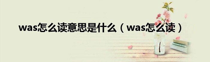was怎么读意思是什么(was怎么读)