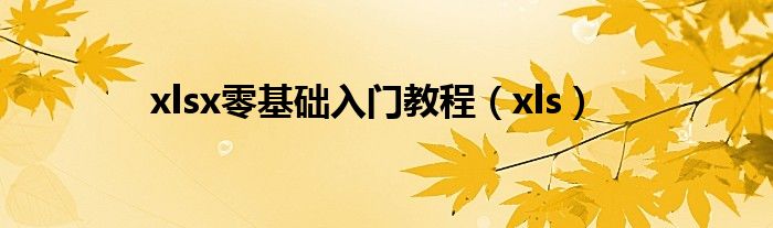 xlsx零基础入门教程(xls)