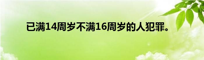 已满14周岁不满16周岁的人犯罪。