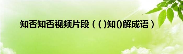 知否知否视频片段(( )知()解成语)