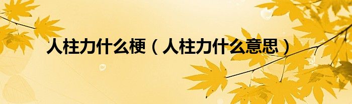 人柱力什么梗(人柱力什么意思)