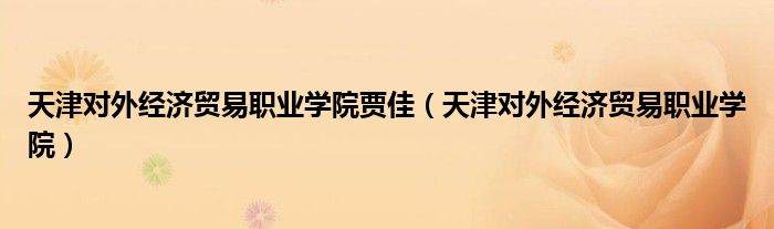 天津对外经济贸易职业学院贾佳(天津对外经济贸易职业学院)
