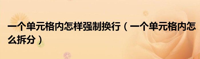 一个单元格内怎样强制换行(一个单元格内怎么拆分)