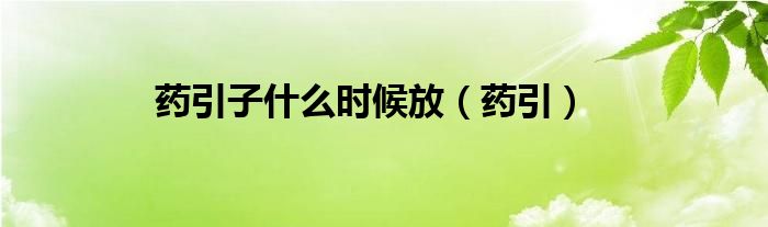 药引子什么时候放（药引）