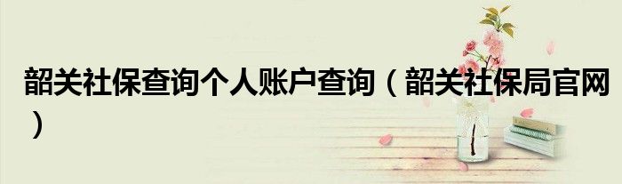 韶关社保查询个人账户查询(韶关社保局官网)