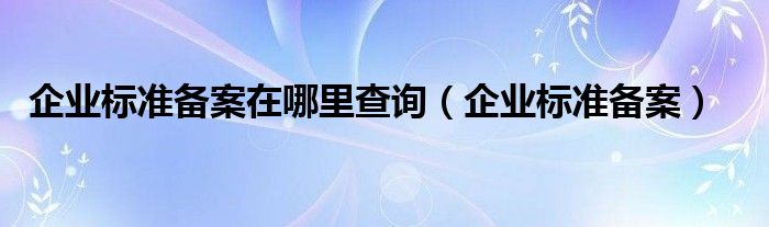 企业标准备案在哪里查询(企业标准备案)