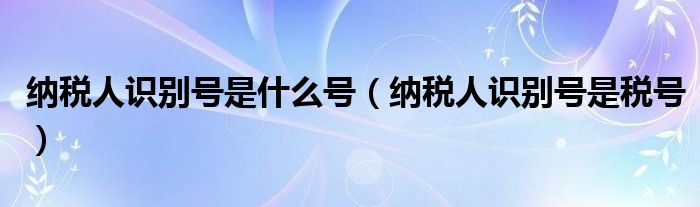 纳税人识别号是什么号(纳税人识别号是税号)