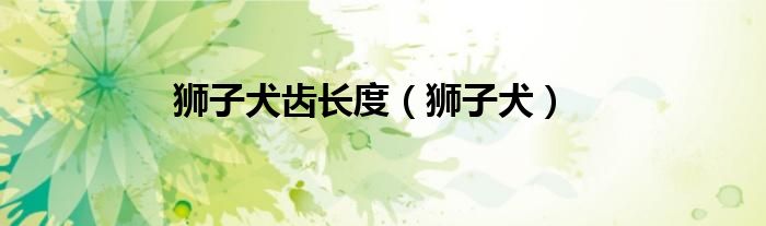 狮子犬齿长度(狮子犬)