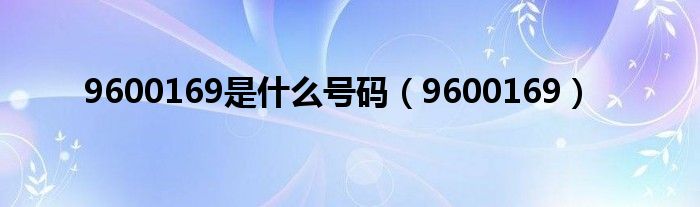 9600169是什么号码(9600169)