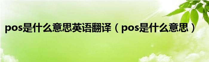 pos是什么意思英语翻译(pos是什么意思)