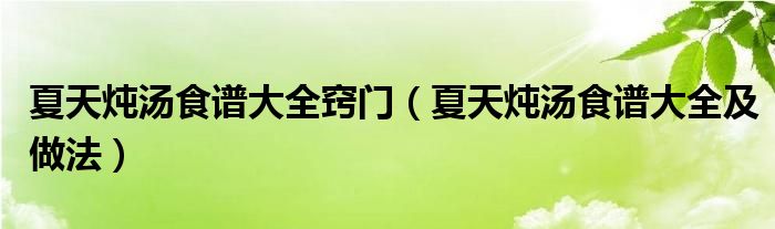 夏天炖汤食谱大全窍门(夏天炖汤食谱大全及做法)